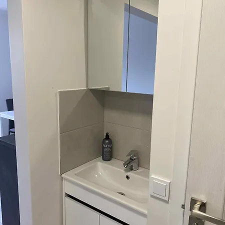 Gelezinis Appartement