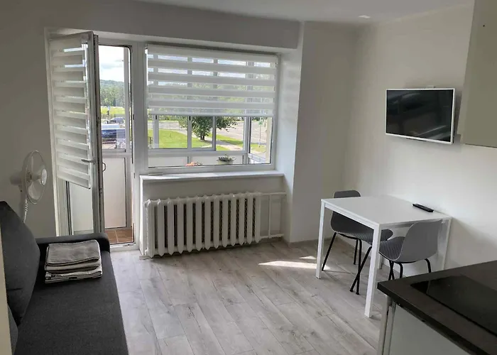 Appartamento With Balcony Vilnius