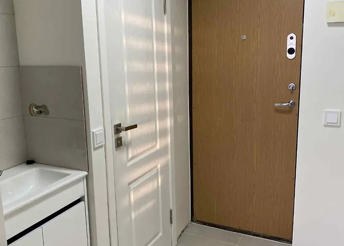 With Balcony Lägenhet Vilnius