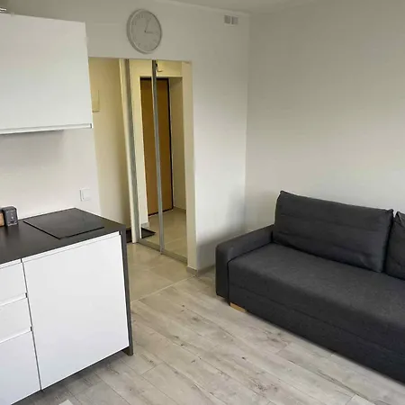 With Balcony 公寓 维尔纽斯