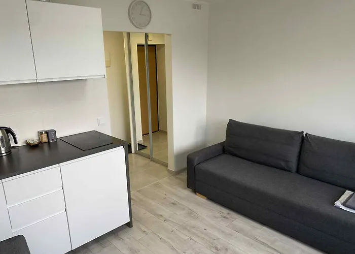 With Balcony Apartman Vilnius